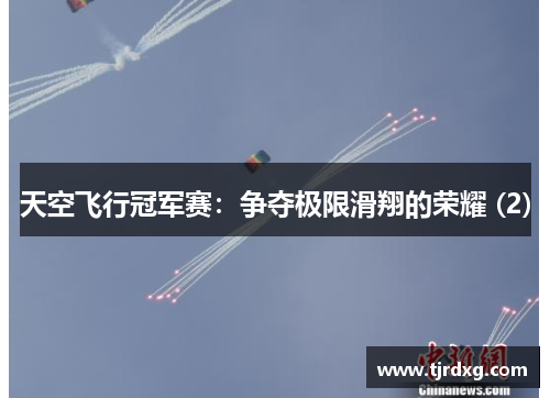 天空飞行冠军赛：争夺极限滑翔的荣耀 (2)
